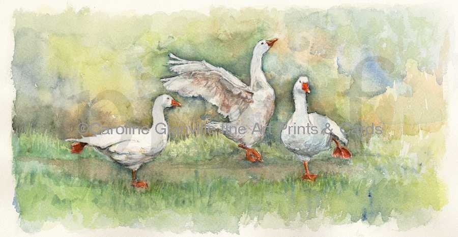 Three geese dancing, painting by Caroline Glanville